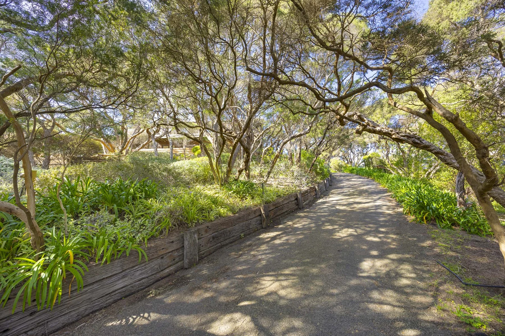 Additional image 16 of 21-23 Links Road, Sorrento VIC 3943