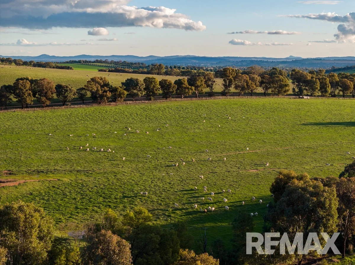 Additional image 26 of 880 Pattersons Road, Harefield NSW 2650