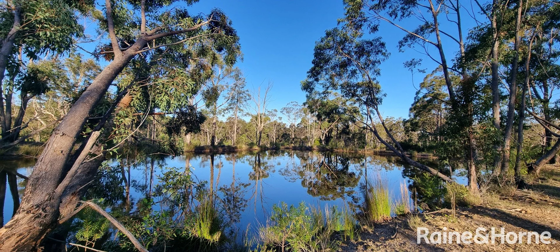 Additional image 5 of Lot 3, 315C Little Forest Road, Little Forest NSW 2538