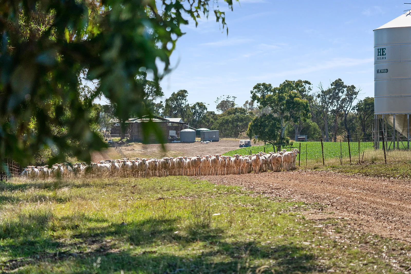 Additional image 7 of 4844 Braidwood Road, Tirrannaville NSW 2580