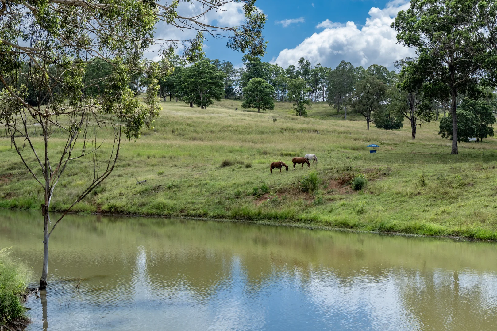Additional image 25 of Goomeribong QLD 4601