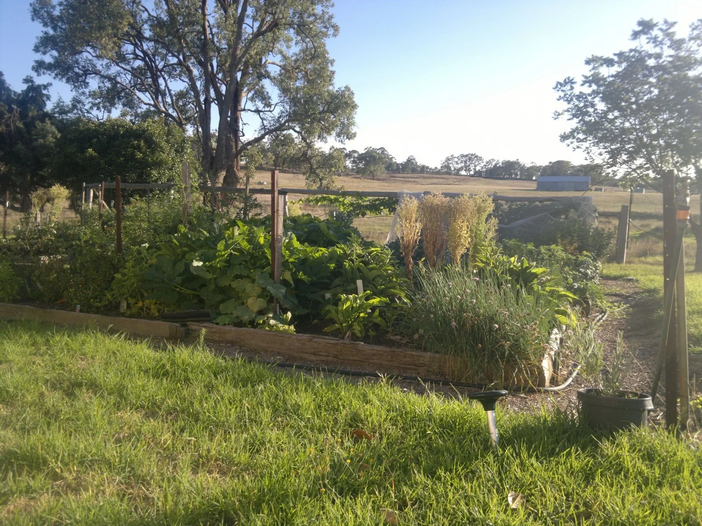 Additional image 20 of 325 Toorawandi Road, Ulamambri NSW 2357