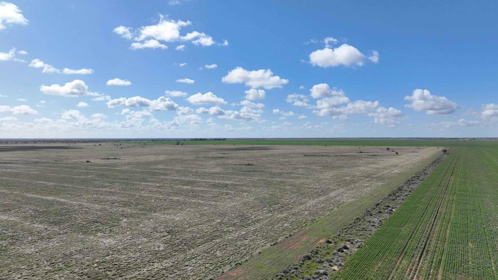 Additional image 27 of "Waringah" Mabins Well Road, Conargo NSW 2710