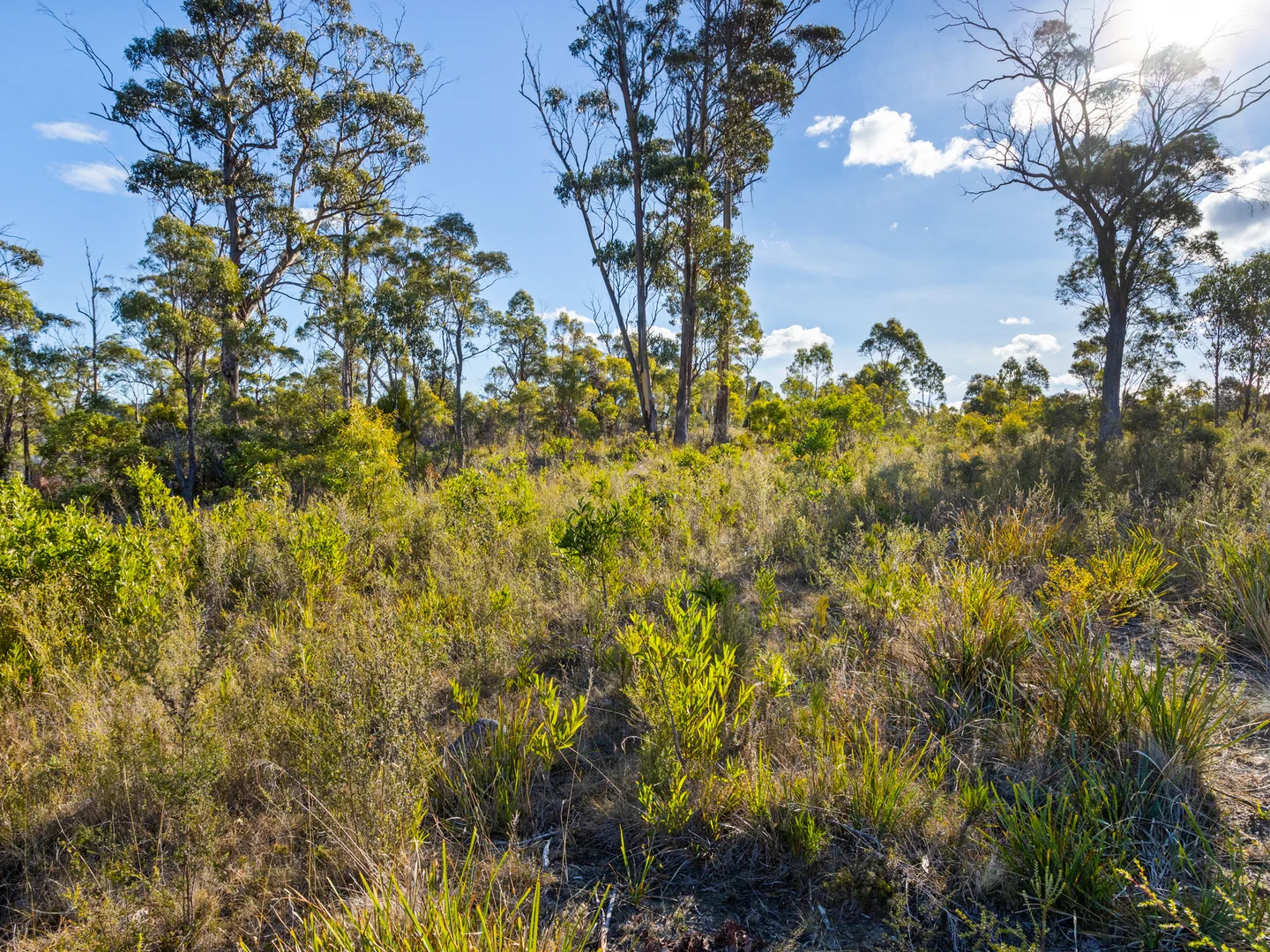 Additional image 28 of 4017 Arthur Highway, Murdunna TAS 7178