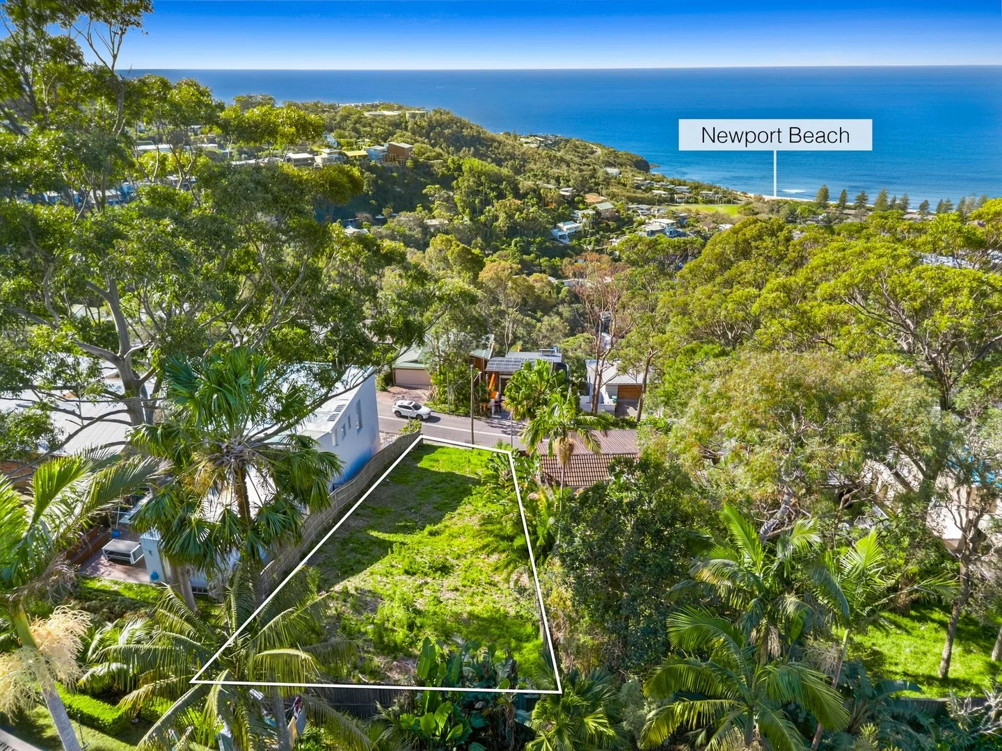 103 Grandview Drive, Newport NSW 2106