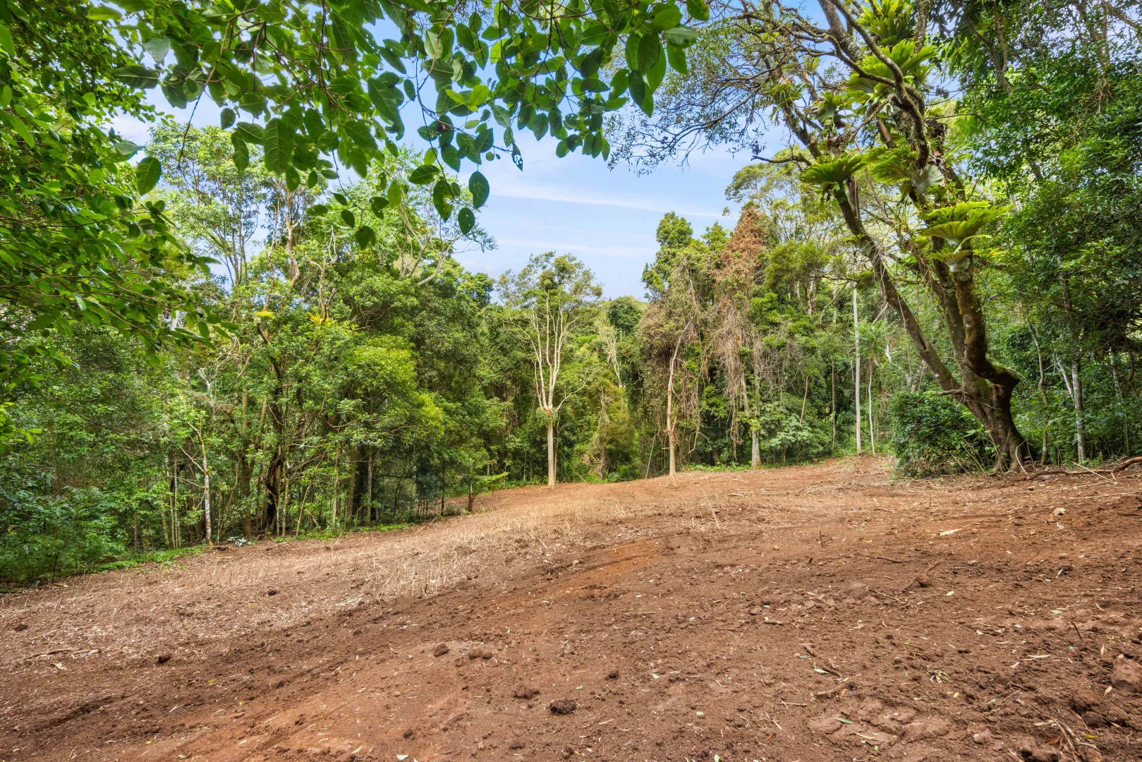 Additional image 18 of 2481 Springbrook Road, Springbrook QLD 4213