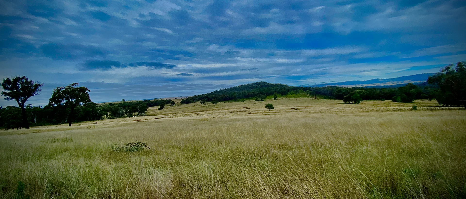 Additional image 9 of 1124 WARKTON ROAD, Coonabarabran NSW 2357