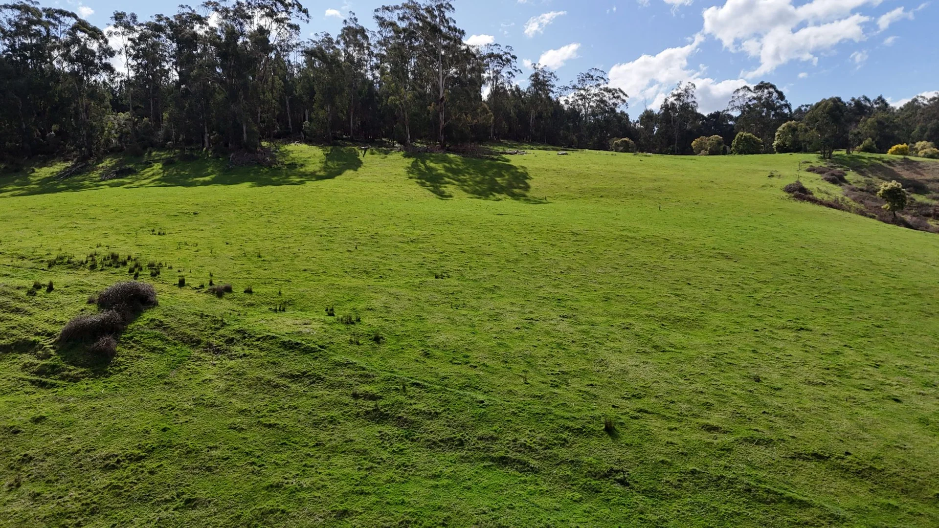 Additional image 2 of 141 BUNDERRA DRIVE, Boolarra VIC 3870