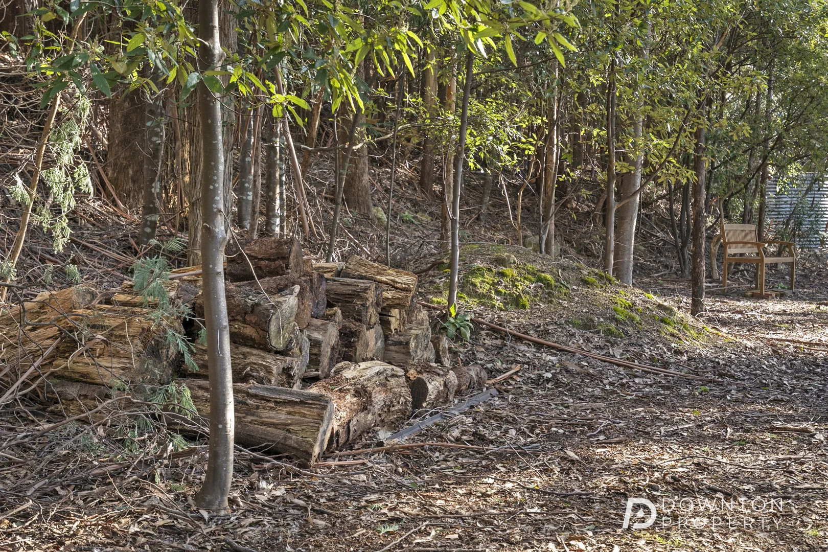 Additional image 6 of 37 Grays Road, Fern Tree TAS 7054