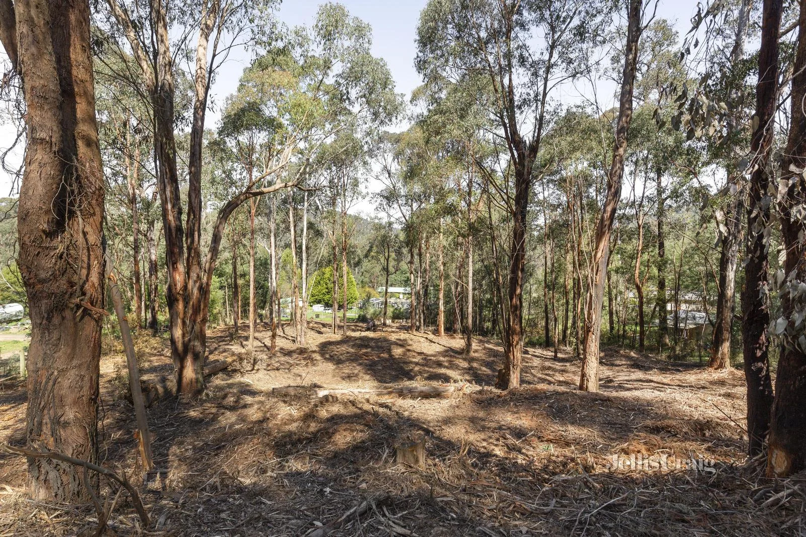 Additional image 2 of 37 Silver Parrot Road, Flowerdale VIC 3717