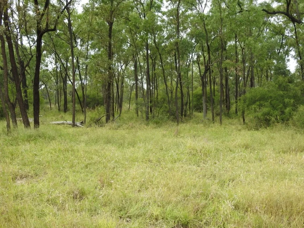 Additional image 28 of Cape River/22386 Flinders Highway, Pentland QLD 4816