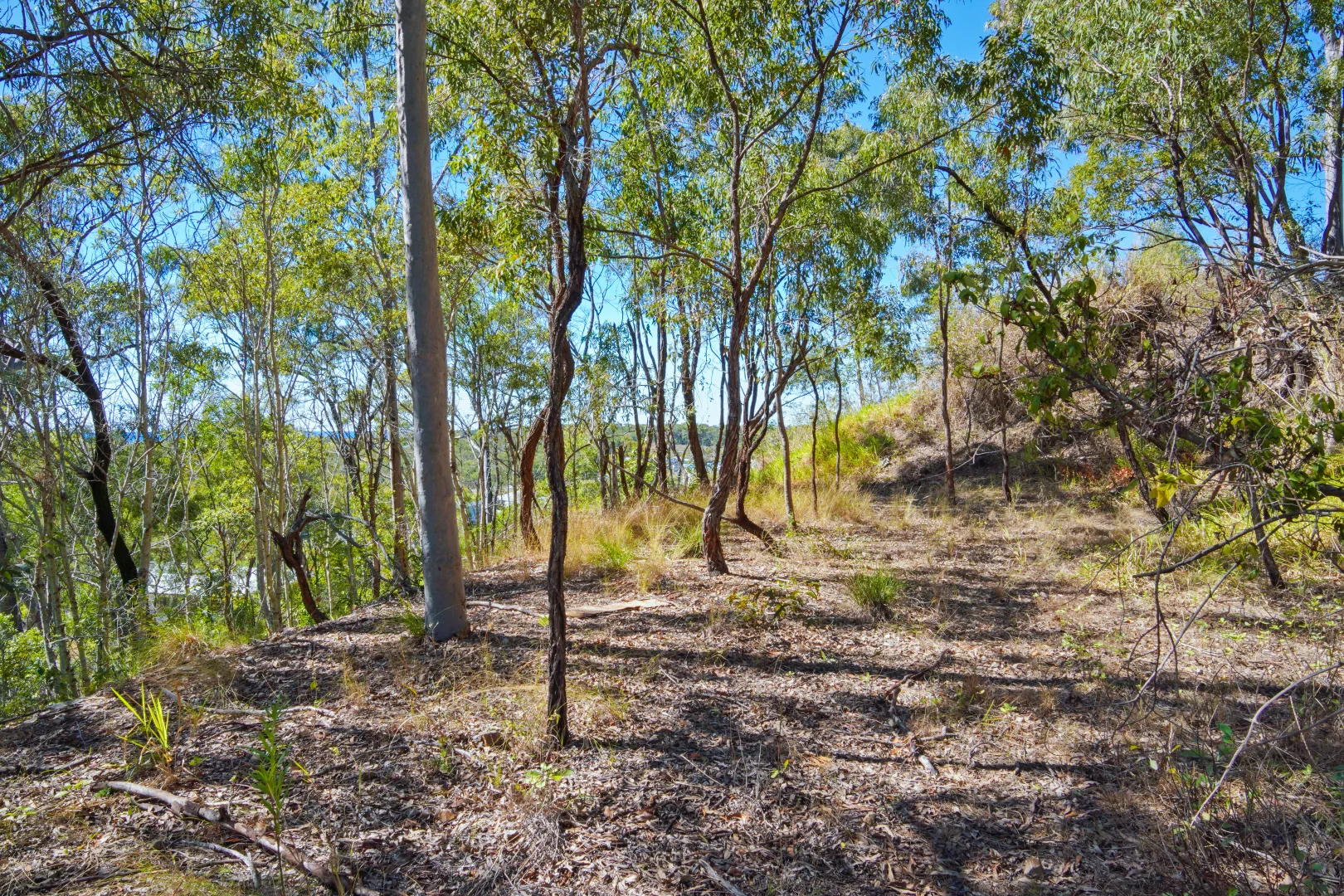 Additional image 12 of 53A Seaspray Drive, Agnes Water QLD 4677