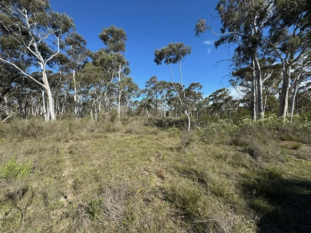 Additional image 6 of 671 Towrang Road, Towrang NSW 2580