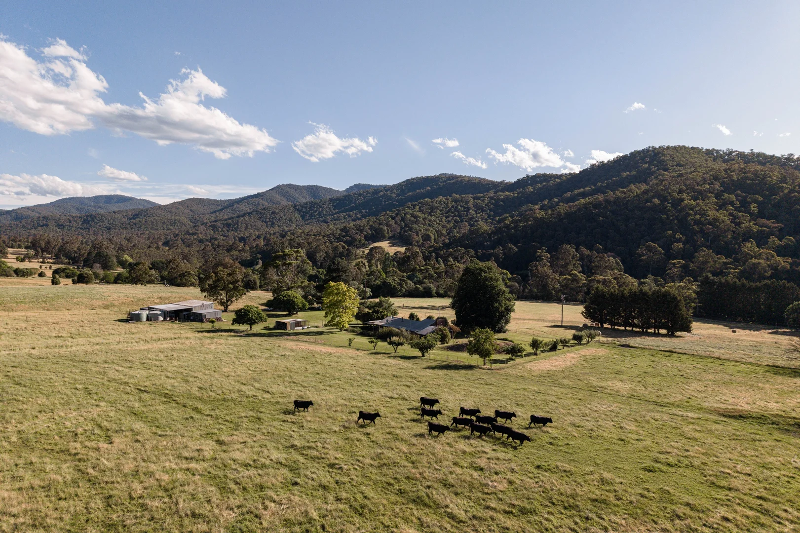 Additional image 5 of 495 Kancoona South Road, Kancoona VIC 3691