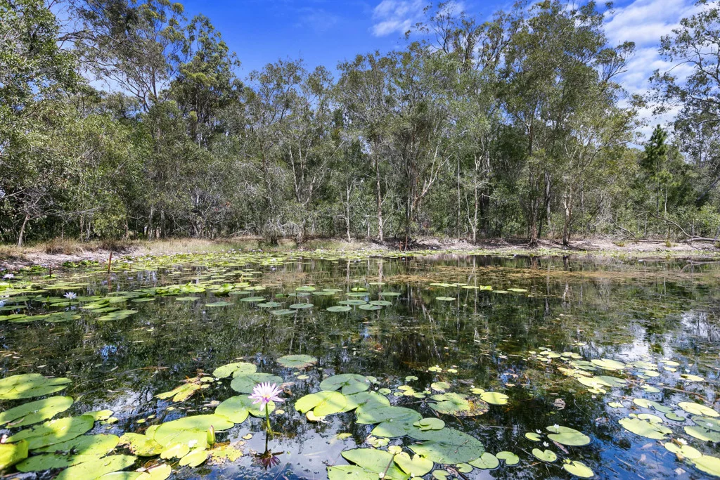Additional image 20 of 51 Old Coach Road, Oakhurst QLD 4650