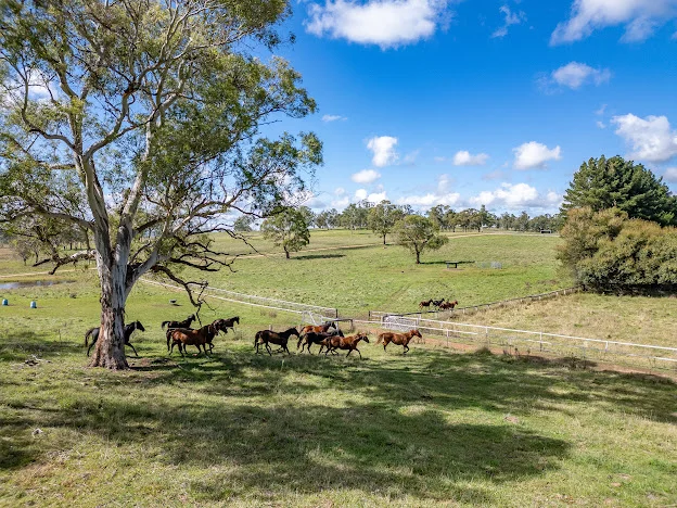 Additional image 14 of 543 Aberbaldie road, Walcha NSW 2354