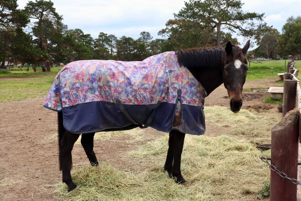 Additional image 22 of 3102 Hamilton Highway, Inverleigh VIC 3321