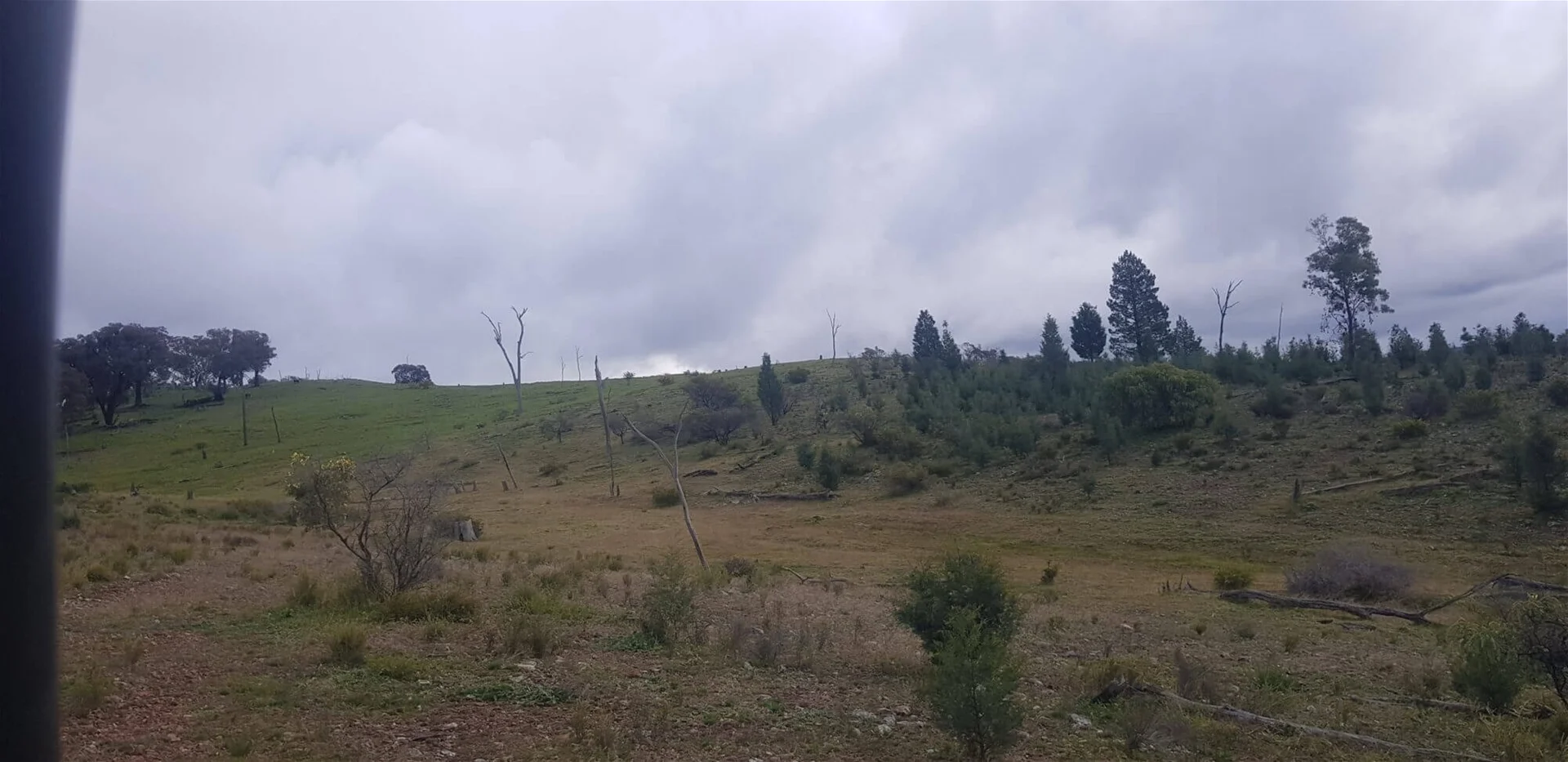 Additional image 6 of 655 Monaghans Rd, Manildra NSW 2865