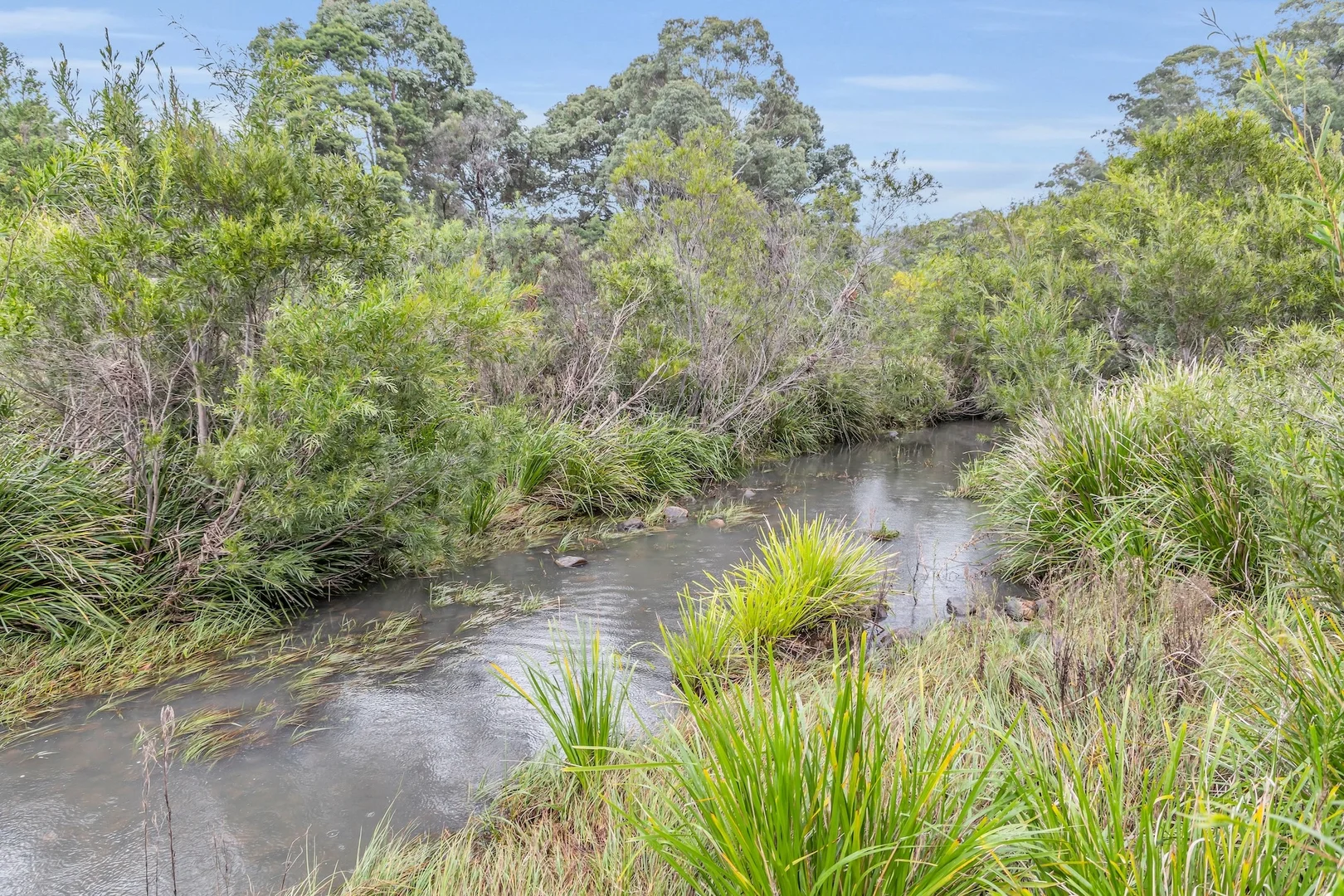 Additional image 22 of Lot 2&3 New Buildings Road, Wyndham NSW 2550
