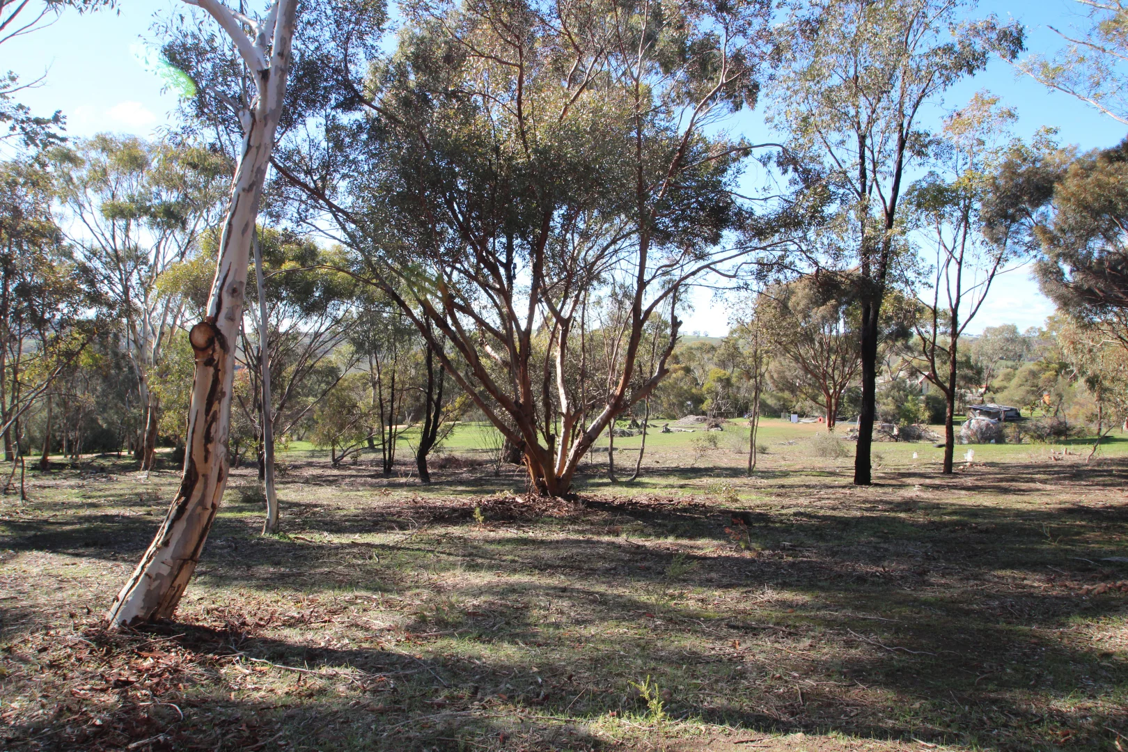 Additional image 3 of 9 West Terrace, Leasingham SA 5452