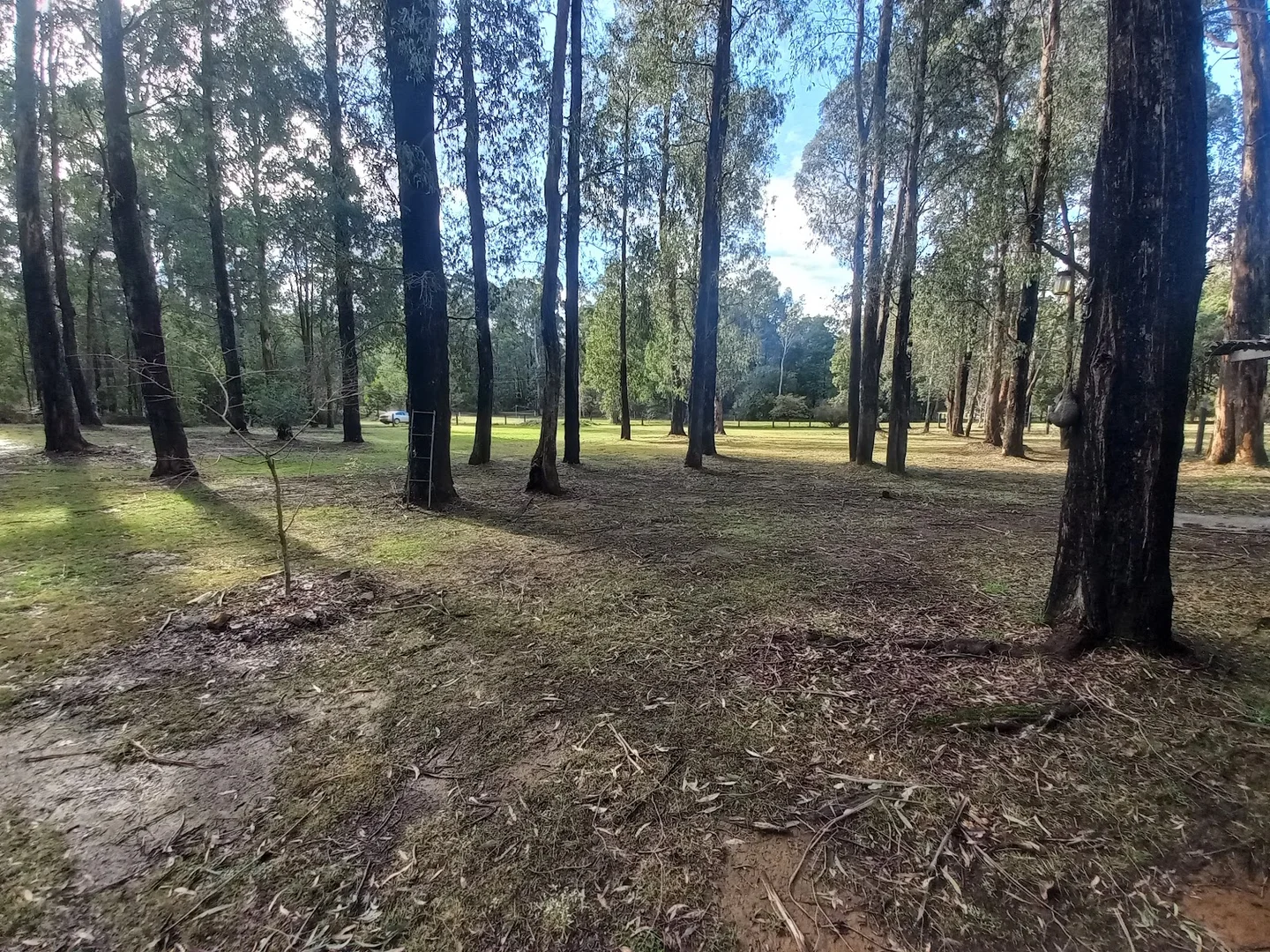 Additional image 10 of 27 Lever Street, Narbethong VIC 3778