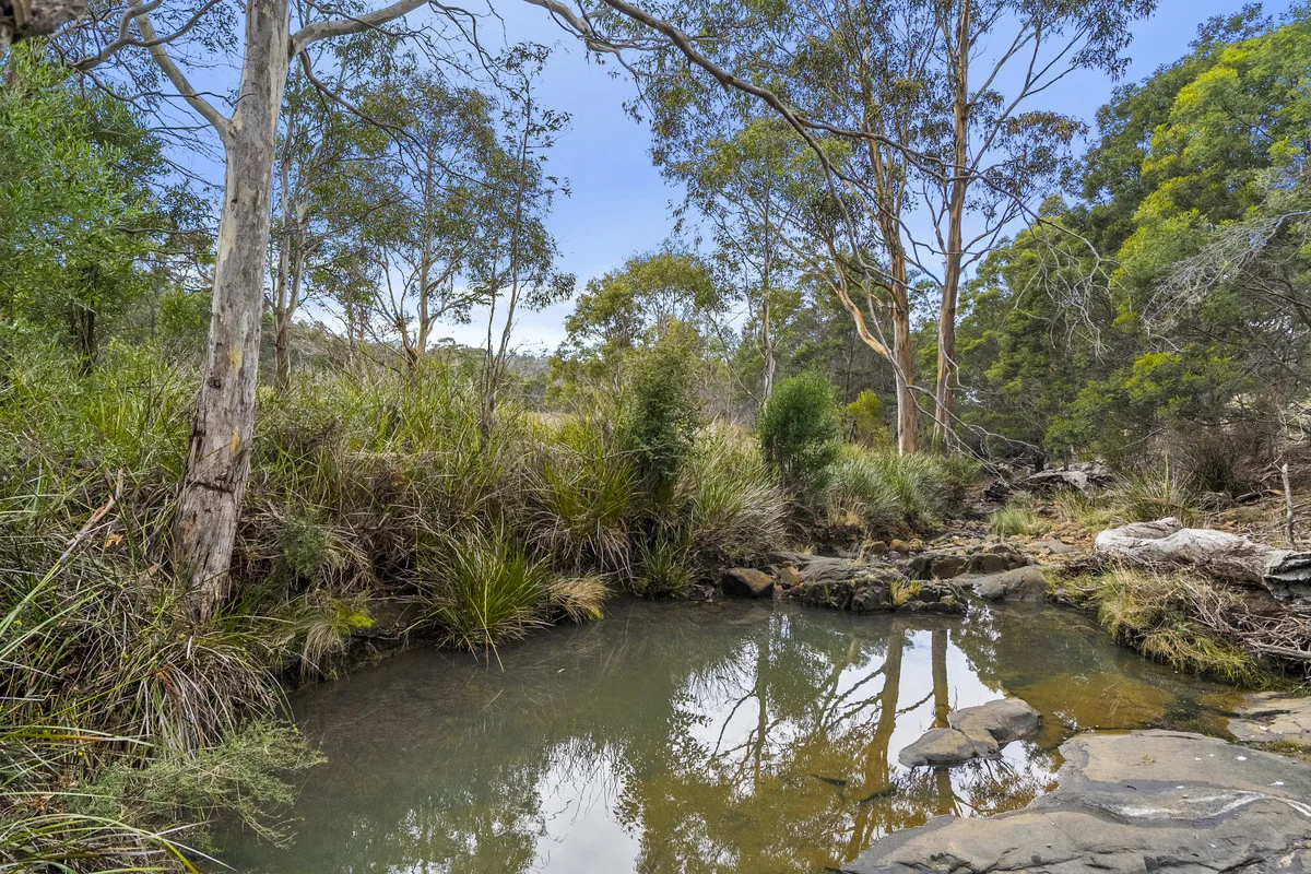 Additional image 26 of 1 & 2 Bresnehans Road, Little Swanport TAS 7190