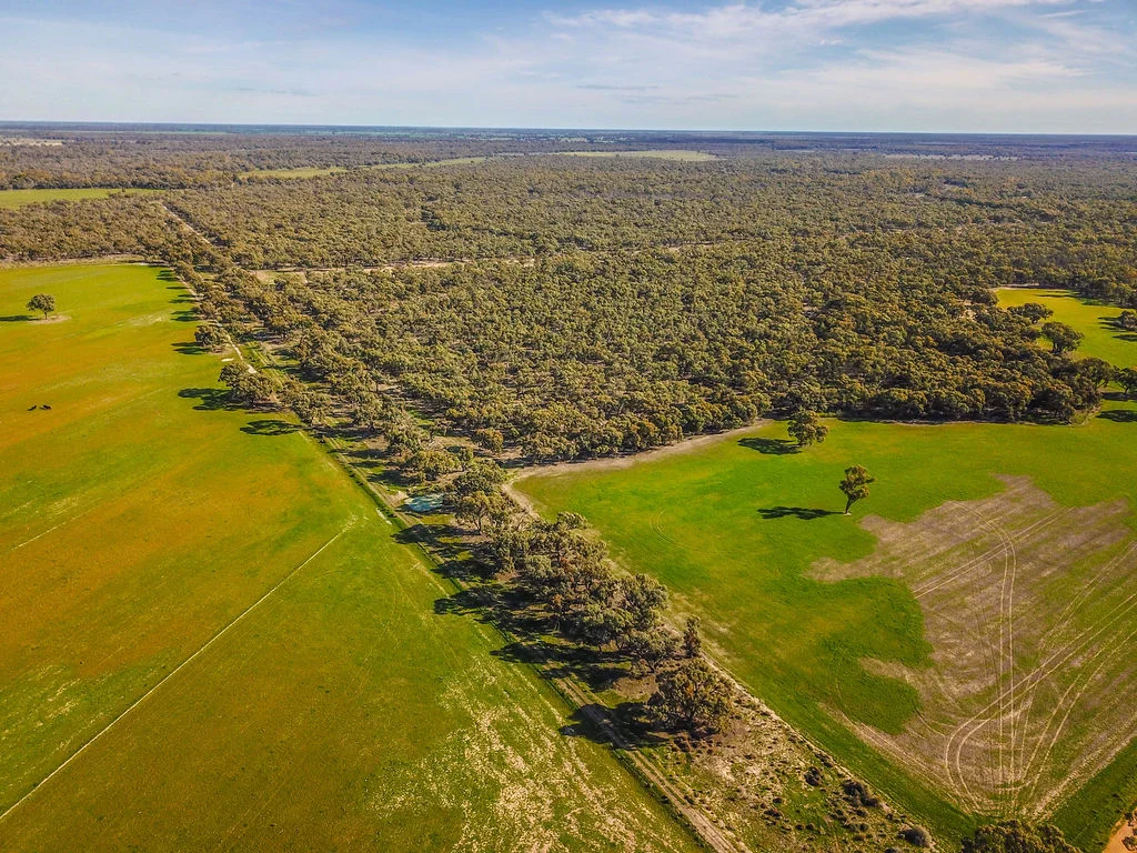 Additional image 19 of 'Wetuppa' 245 Fisher Lane, Wetuppa NSW 2734