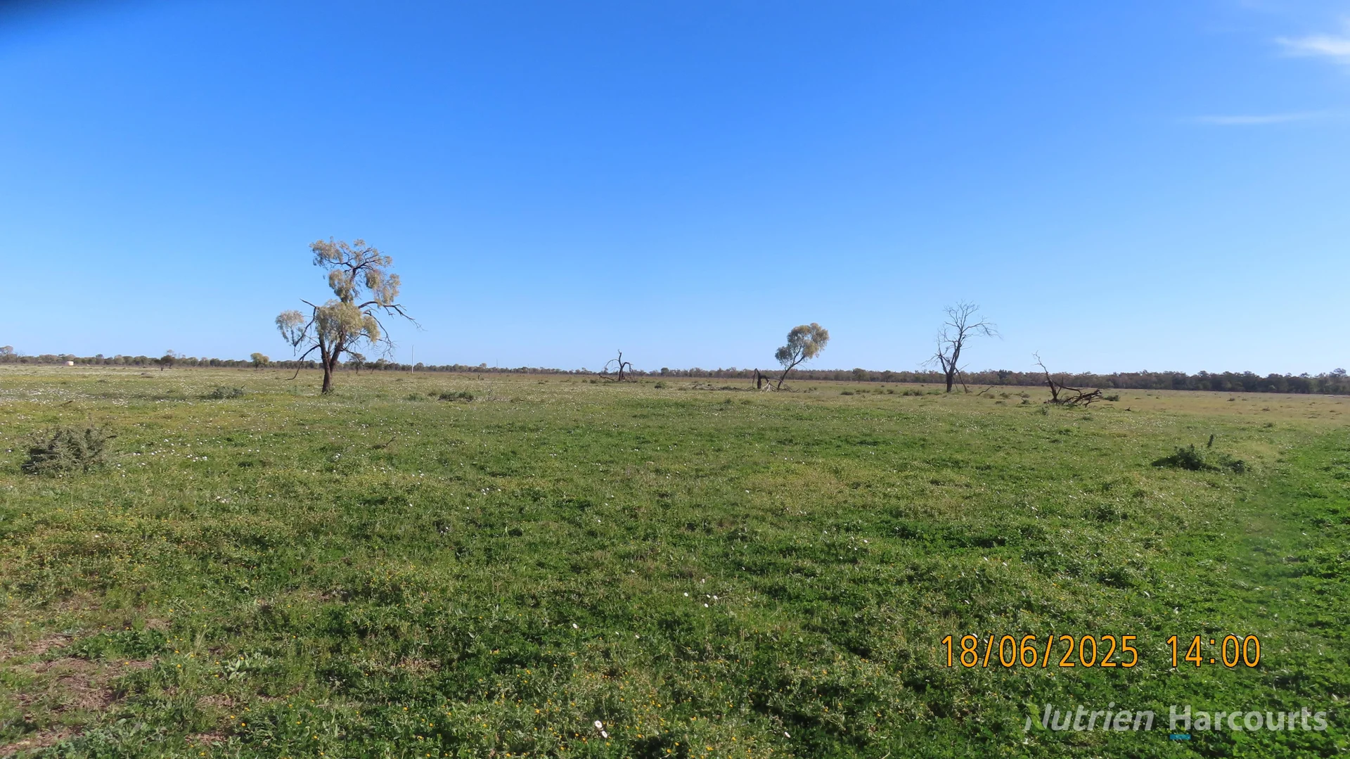 Additional image 23 of * Springvale, Walgett NSW 2832
