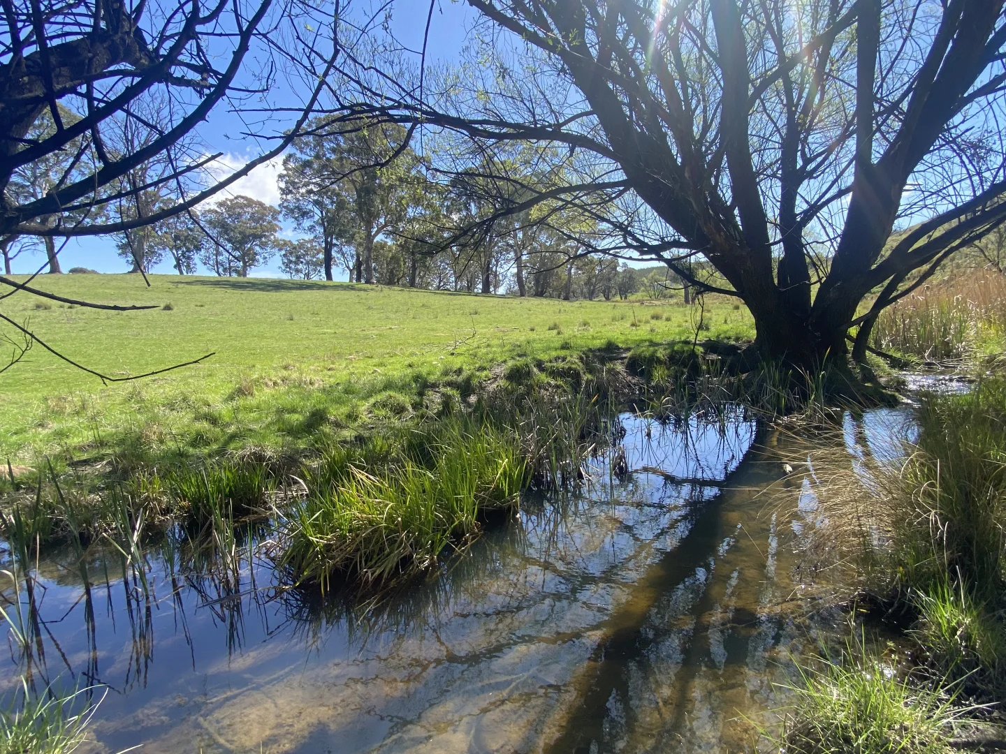 Additional image 5 of 2585 Burraga Road, Burraga NSW 2795