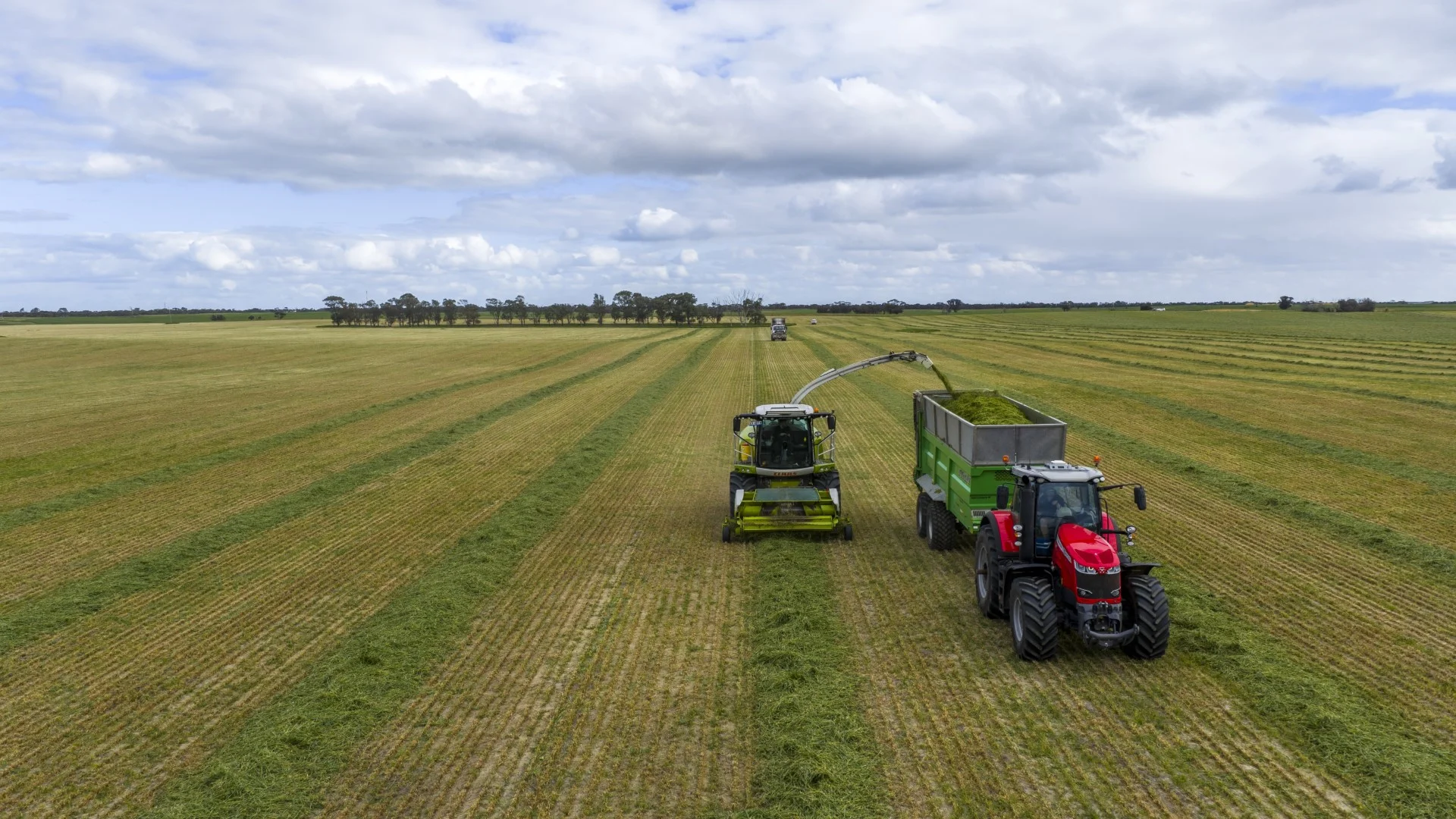 Additional image 26 of 1579 Chappel Road, Telopea Downs VIC 3420