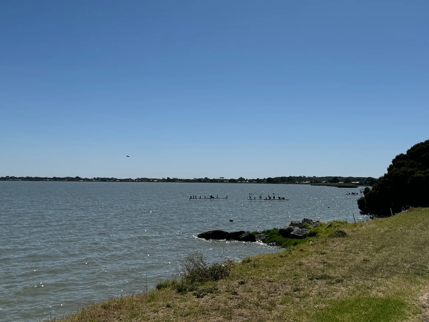 Additional image 15 of Lot 49 Yarli Court, Meningie SA 5264