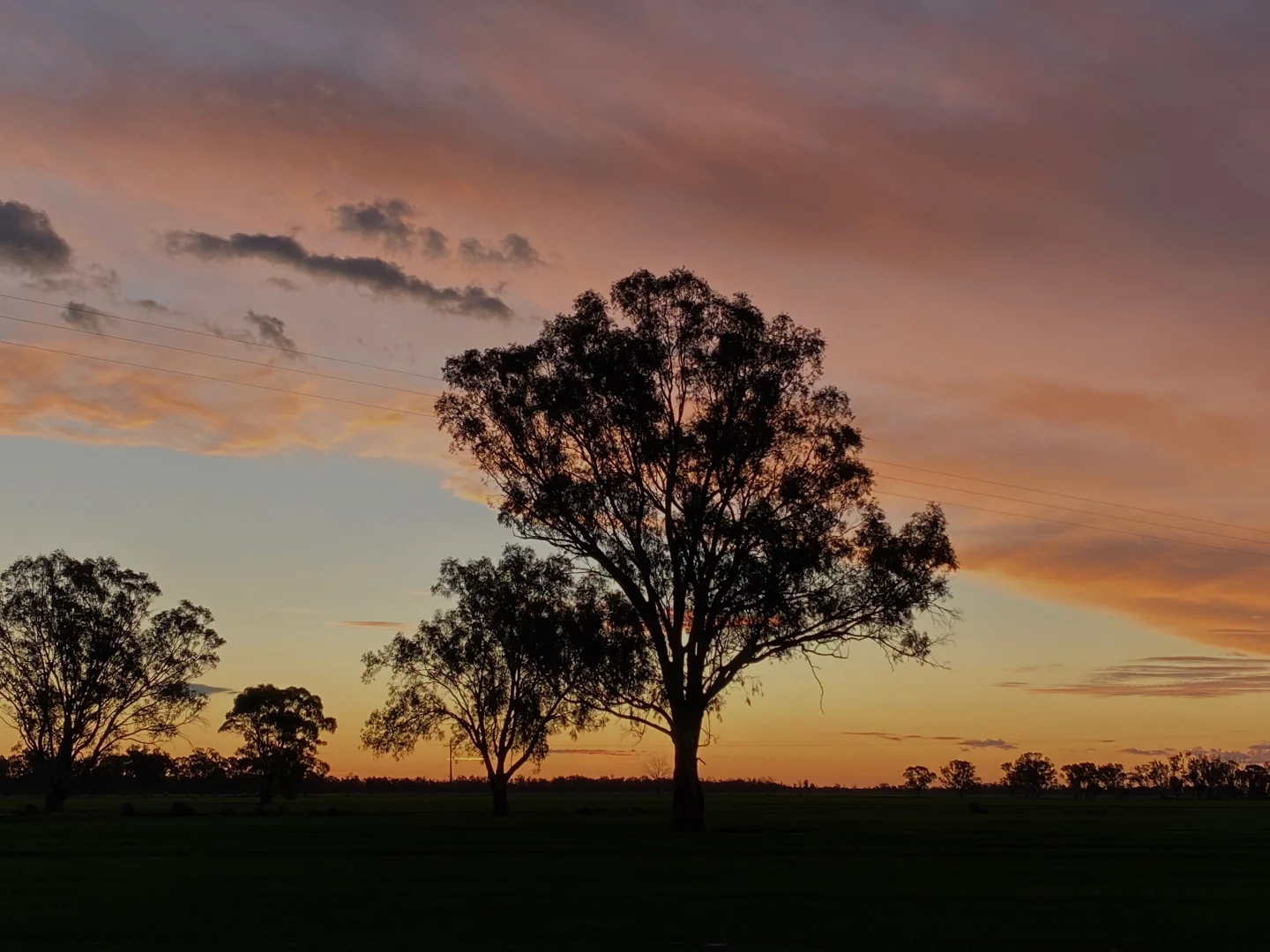 Additional image 56 of 'Wetuppa' 245 Fisher Lane, Wetuppa NSW 2734