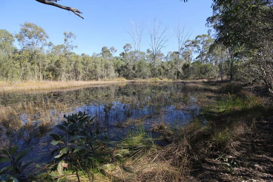 Additional image 30 of 684 Taunton Road, Taunton QLD 4674