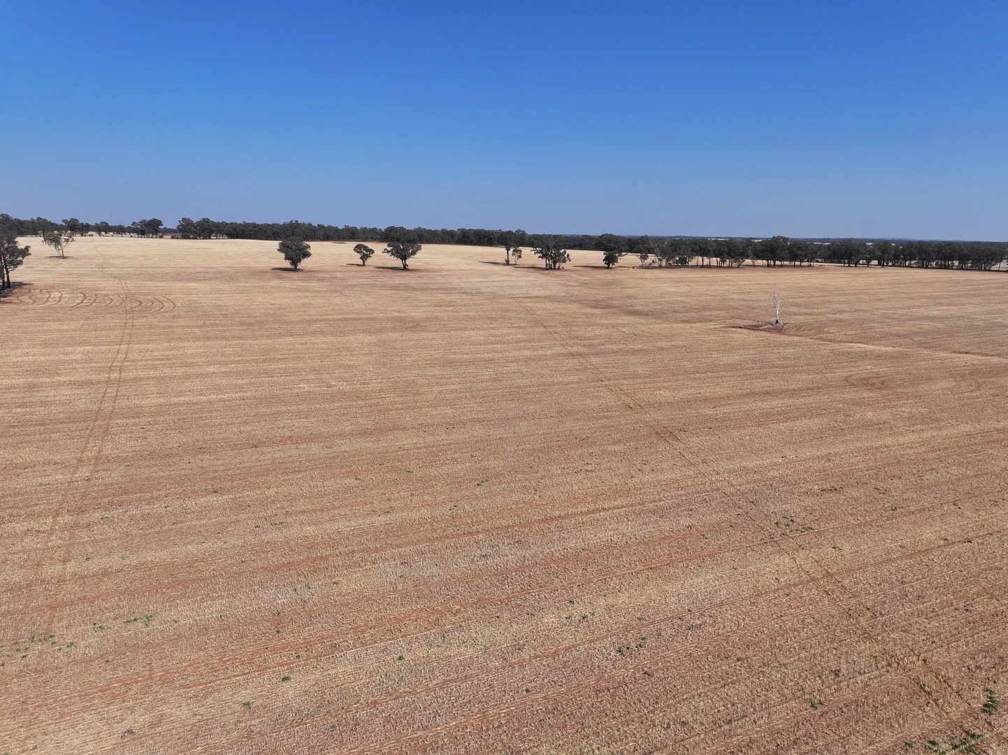 Additional image 4 of 'Wattlevale' 875 Schmidts Lane, Gidginbung NSW 2666