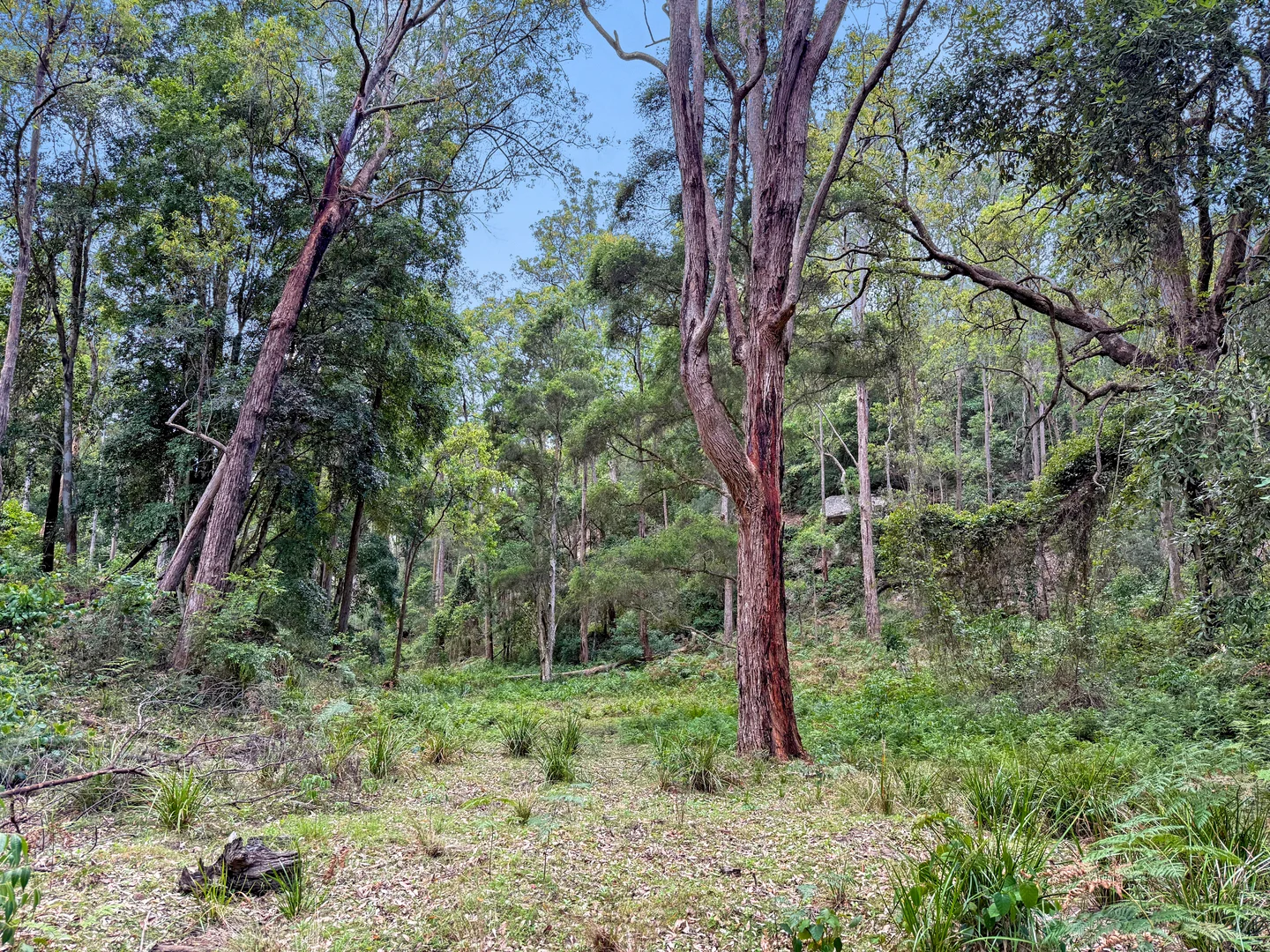 Additional image 20 of Laguna NSW 2325
