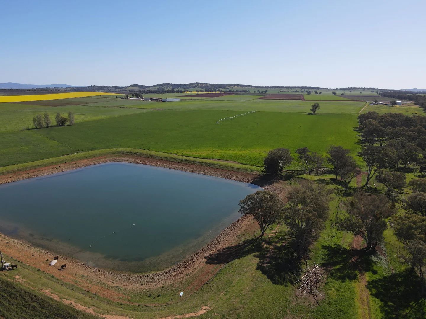 Additional image 22 of 349 Nangar Road, Canowindra NSW 2804