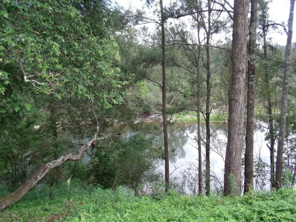 Additional image 6 of Ellenborough NSW 2446