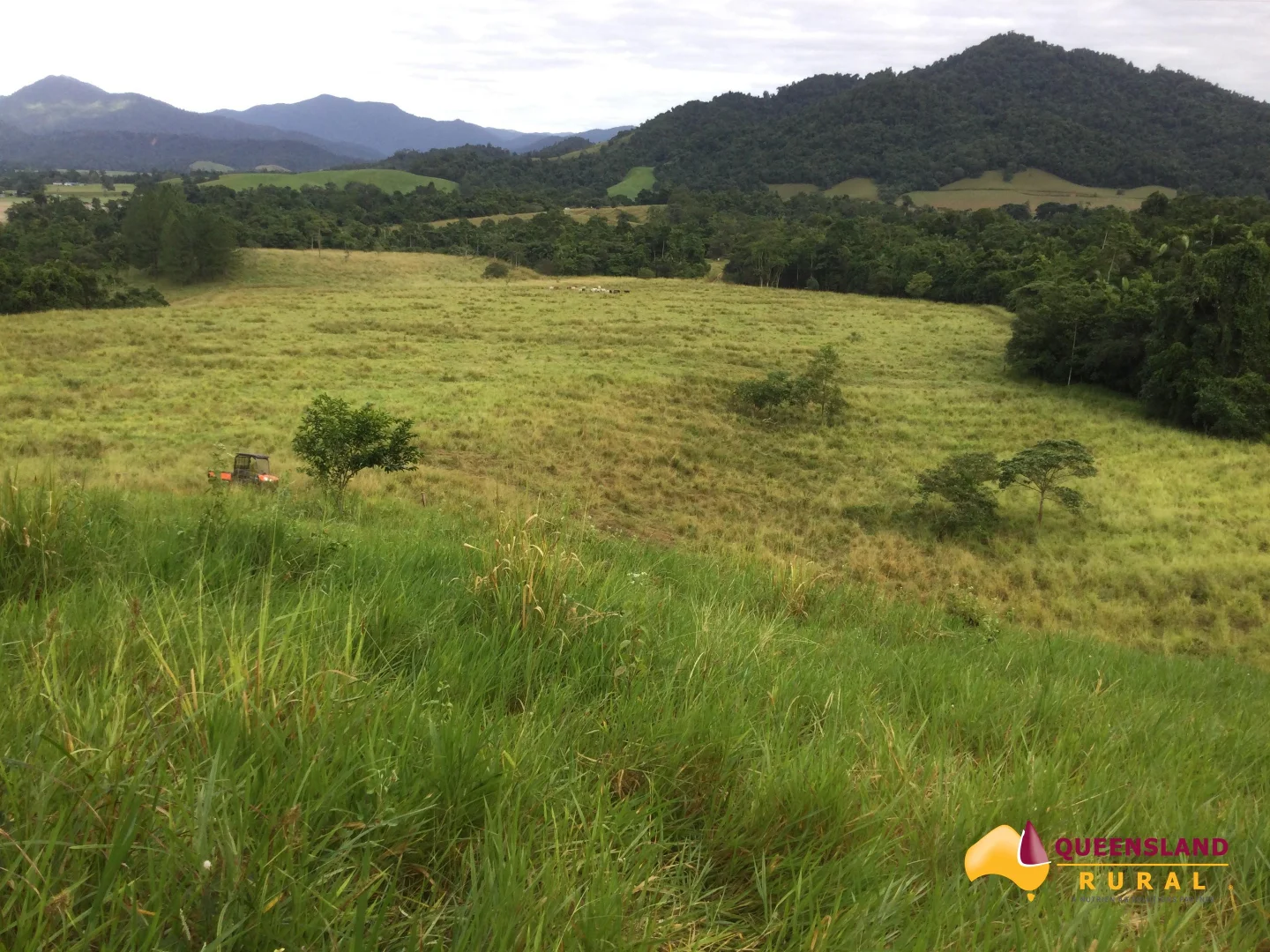 Additional image 10 of Bombeeta QLD 4871