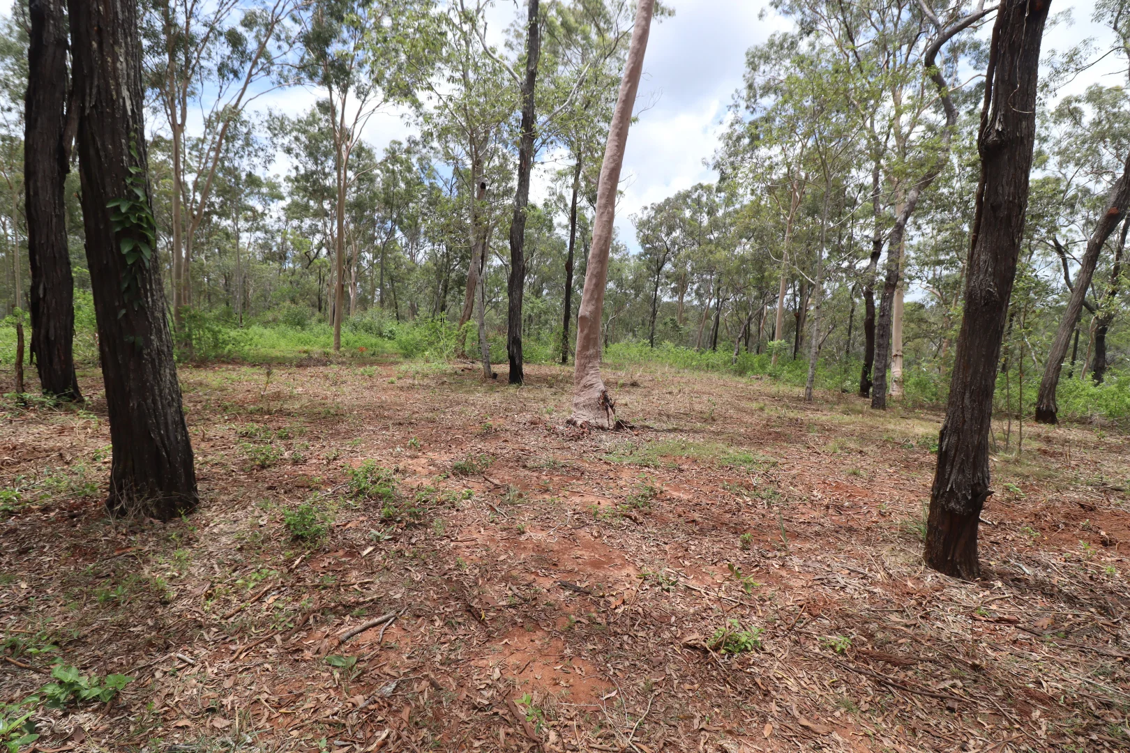 Additional image 15 of 89 Corfield drive, Booyal QLD 4671