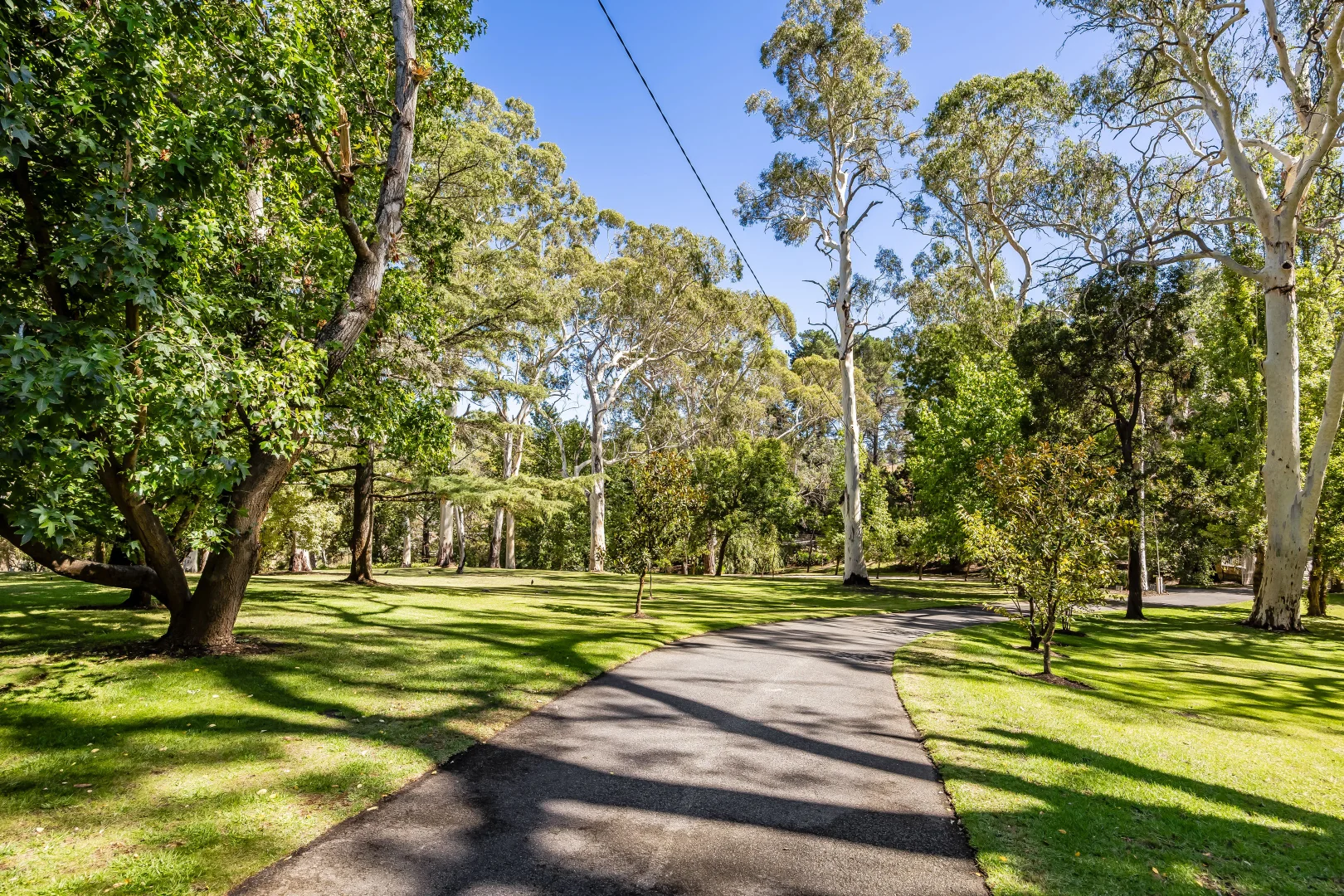 Additional image 74 of 158 Onkaparinga Valley Road, Verdun SA 5245