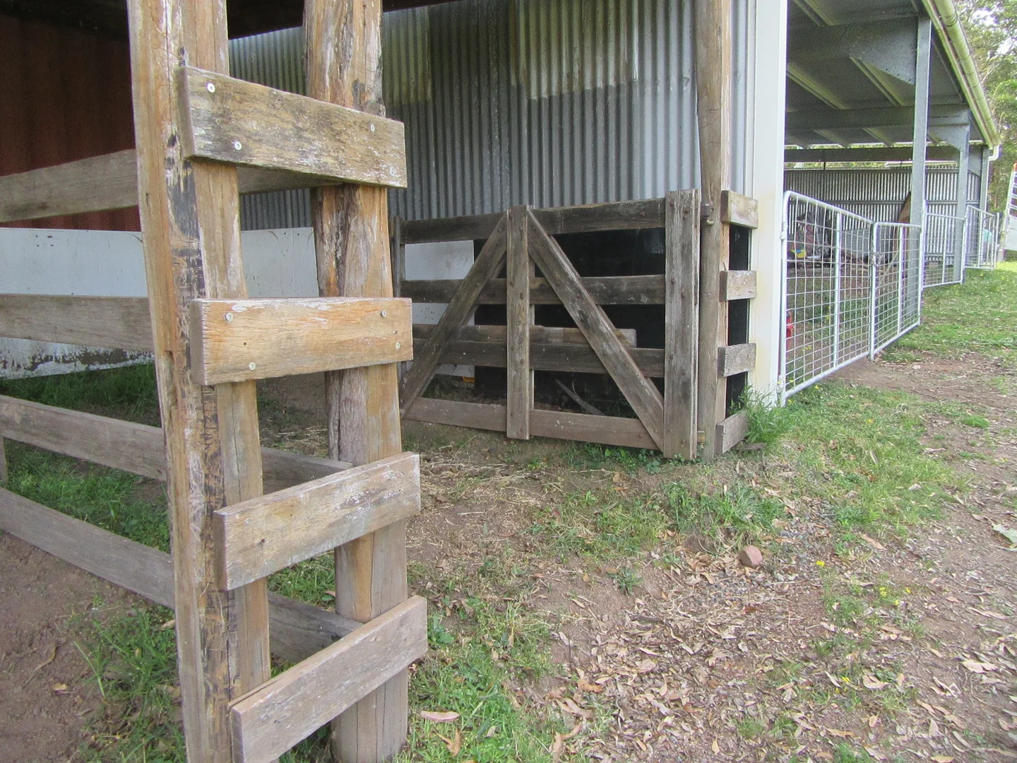 Additional image 55 of 813 Newmans Road, Topi Topi NSW 2423