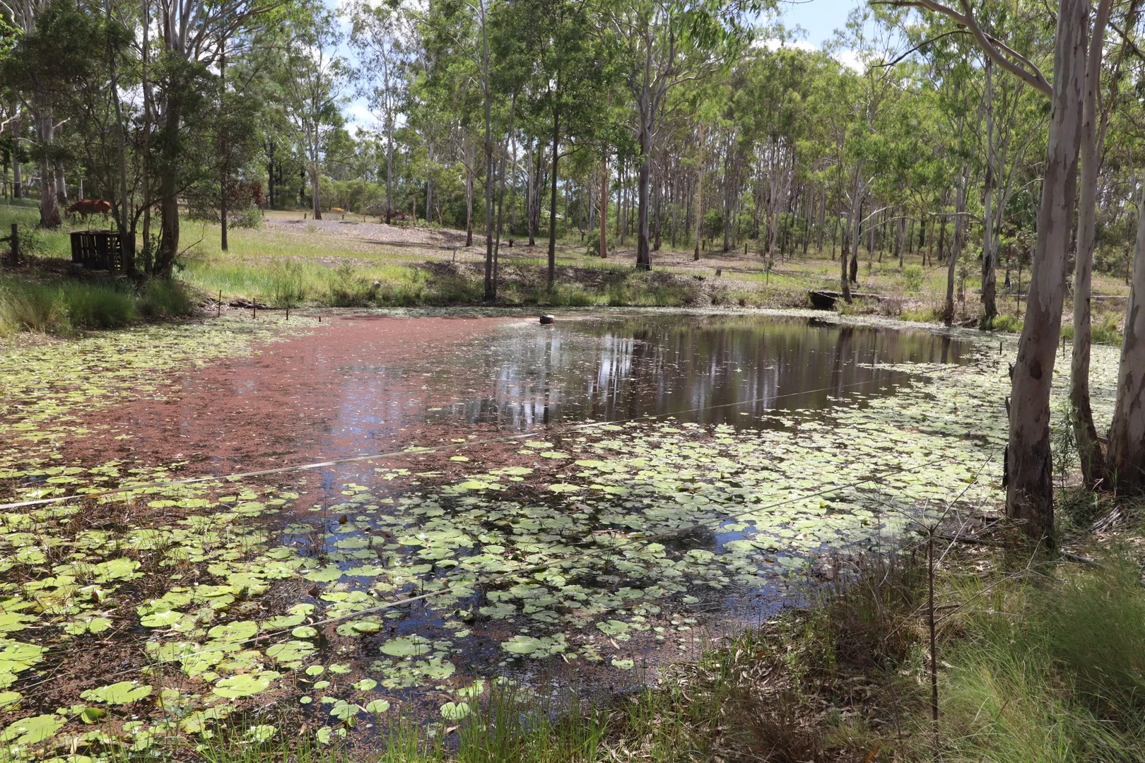 95 Monduran Road, Yandaran QLD 4673