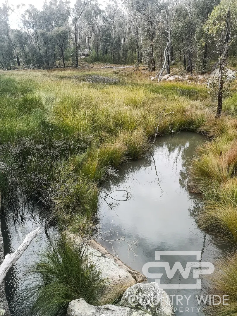 Additional image 21 of 2 Carrot Farm Road, Deepwater NSW 2371