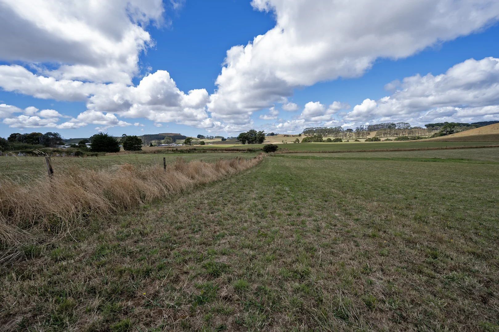 Additional image 7 of Yolla TAS 7325