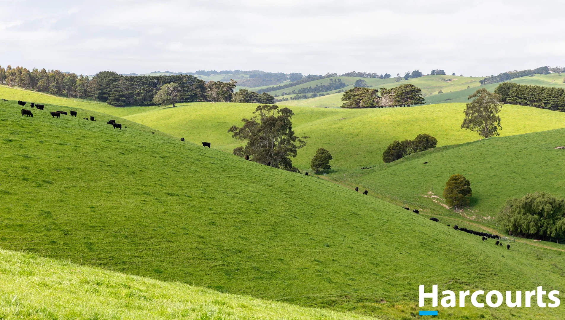 Additional image 32 of 715 Falls Road, Fish Creek VIC 3959