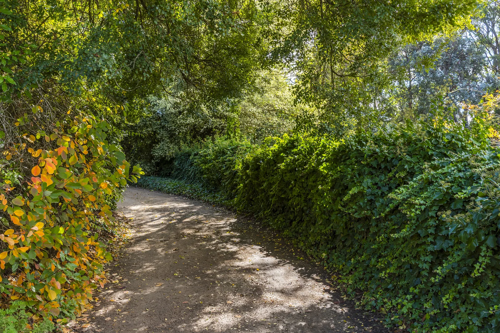 Additional image 11 of 131 Shannons Lane, Kerrie VIC 3434