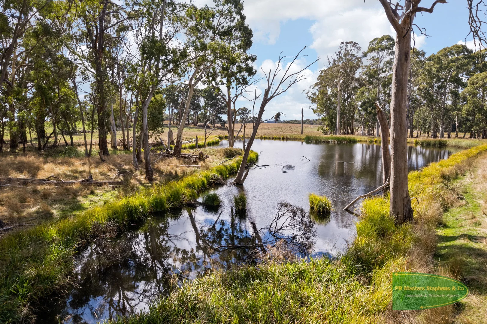 Additional image 33 of 800 Riverview Forest Road, Mozart NSW 2787