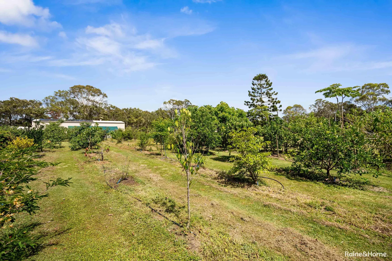 Additional image 12 of 847 Booral Road, Bunya Creek QLD 4655