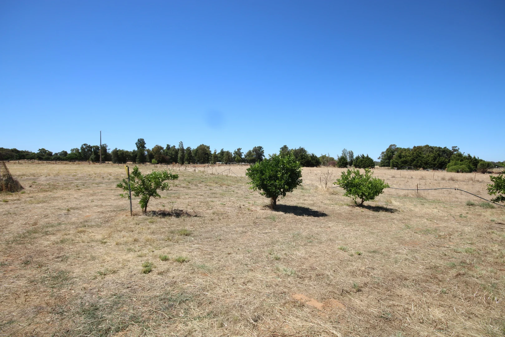 Additional image 9 of 6079 Northern Highway, Rochester VIC 3561