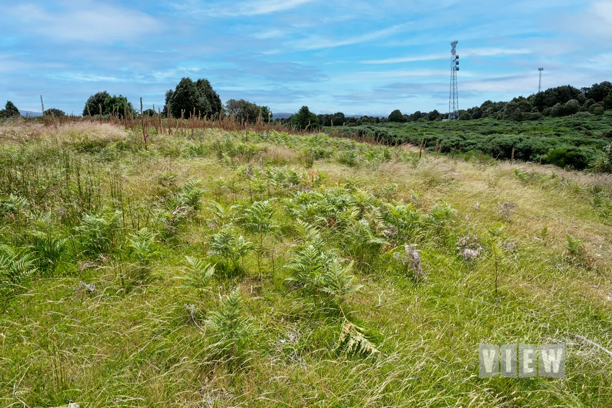 Additional image 6 of 6 Walker Street, Waratah TAS 7321